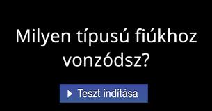 Milyen típusú fiúkhoz vonzódsz?