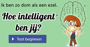 Hoe intelligent ben jij?