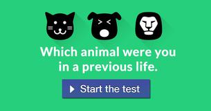 Which animal were you in a previous life. 