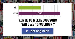 Ken jij de meervoudsvorm van deze 15 woorden ?