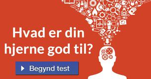 Hvad er din hjerne god til?