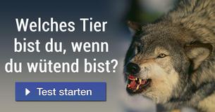 Welches Tier bist du, wenn du wütend bist?