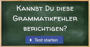 Kannst Du diese Grammatikfehler berichtigen?