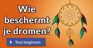 Wie beschermt je dromen?