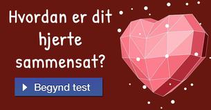 Hvordan er dit hjerte sammensat?