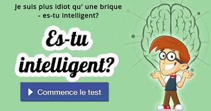 Es-tu intelligent?