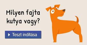 Milyen fajta kutya vagy?