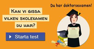 Kan vi gissa vilken skolexamen du har?