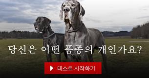 당신은 어떤 품종의 개인가요?