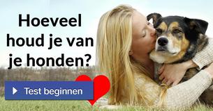 Hoeveel houd je van je honden? 