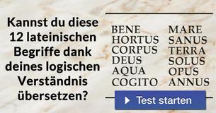 Kannst du diese 12 lateinischen Begriffe dank deines logischen Verständnis übersetzen? 