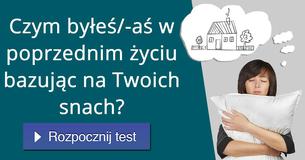 Czym byłeś/-aś w poprzednim życiu bazując na Twoich snach?