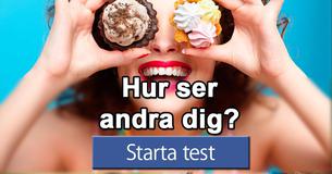 Hur ser andra dig?