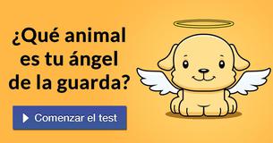 ¿Qué animal es tu ángel de la guarda?