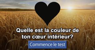 Quelle est la couleur de ton cœur intérieur?