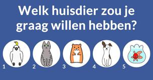 Wie is je tv-echtgenoot?