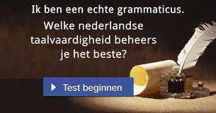 Welke nederlandse taalvaardigheid beheers je het beste? 