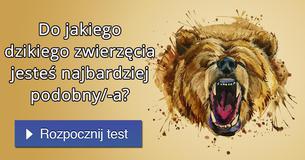 Do jakiego dzikiego zwierzęcia jesteś najbardziej podobny/-a?