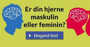 Er din hjerne maskulin eller feminin?