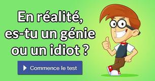 En réalité, es-tu un génie ou un idiot ?