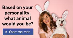 Based on your personality, what animal would you be?