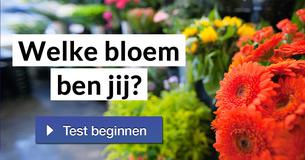 Welke bloem ben jij?