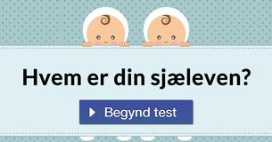 Hvem er din sjæleven?