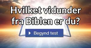 Hvilket vidunder fra Biblen er du?