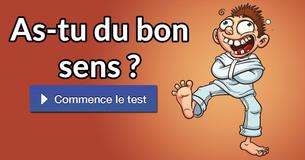 As-tu du bon sens ?