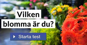 Vilken blomma är du?