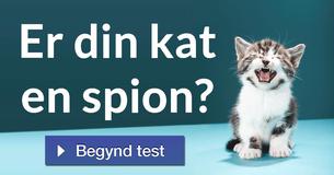 Er din kat en spion?