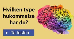 Hvilken type hukommelse har du?