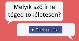 Melyik szó ír le téged tökéletesen?