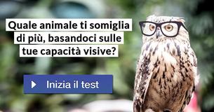 Quale animale ti somiglia di più, basandoci sulle tue capacità visive?