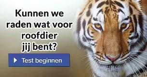 Kunnen we raden wat voor roofdier jij bent?