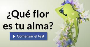 ¿Qué flor es tu alma?