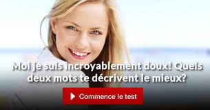 Quels deux mots te décrivent le mieux?