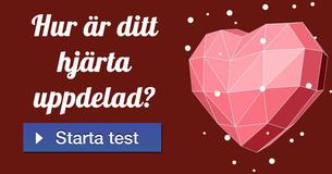 Hur är ditt hjärta uppdelad?