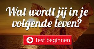 Wat word jij in je volgende leven?
