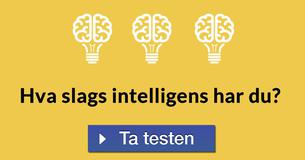 Hva slags intelligens har du?