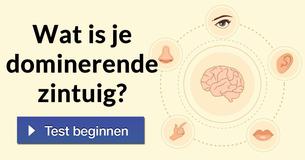 Wat is je dominerende zintuig?