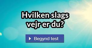 Hvilken slags vejr er du?