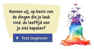 Kunnen wij, op basis van de dingen die je leuk vind, de leeftijd van je ziel bepalen?