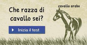 Che razza di cavallo sei?