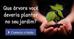 Que árvore você deveria plantar no seu jardim?