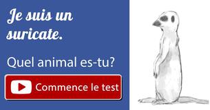 Quel animal es-tu? 
