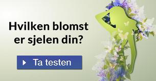 Hvilken blomst er sjelen din?