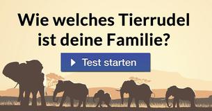 Wie welches Tierrudel ist deine Familie?