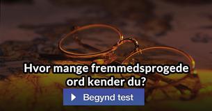 Hvor mange fremmedsprogede ord kender du?