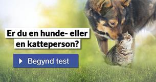 Er du en hunde- eller en katteperson?